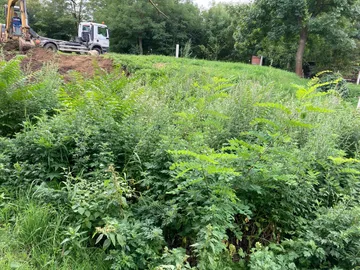 Revitalizace zahrady Brod nad Dyjí